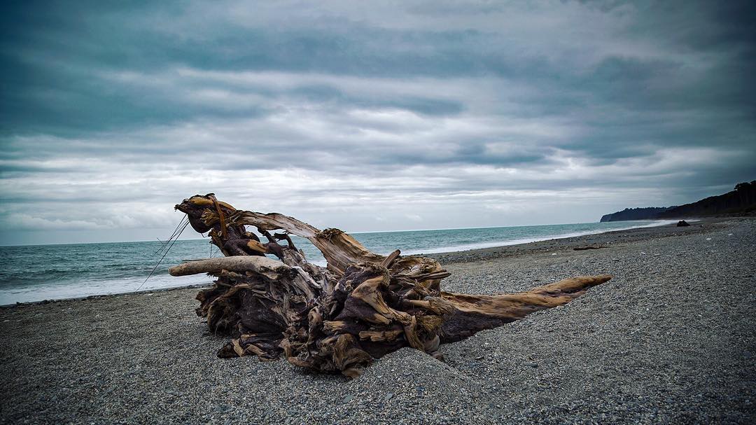 Bruce Bay, New Zealand
